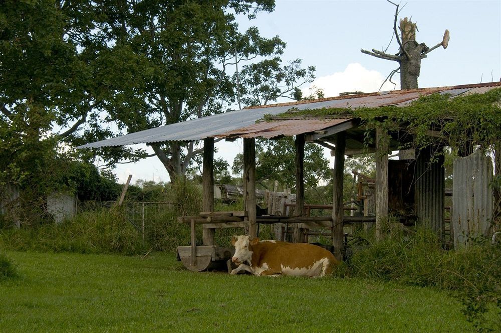 Lagoon Pocket Bed & Breakfast Exterior foto